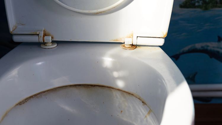 Dreckige Toiletten sind nur ein Teil von Svea Mausolfs Schmuddel-Kabinett.