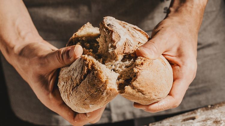 Knusprig außen, weich innen: Mit Roggenvollkorn und Gusseisen wird Sauerteig zum Insta-Star – und das sogar aus der eigenen Küche.