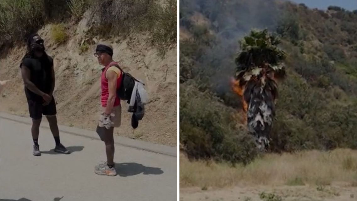 LA Wanderer.jpg