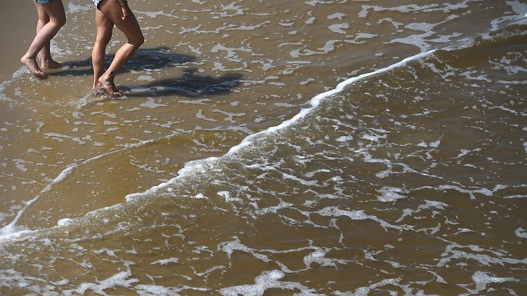 In flachem und warmem Salzwasser breiten sich Vibrionen besonders schnell aus.
