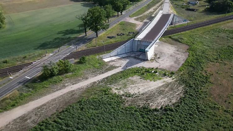 Eine fertige Brücke, aber kein Weg hinauf – in Brandenburg stehen Autofahrer weiter vor der Schranke, weil die Zufahrten erst 2026 kommen.