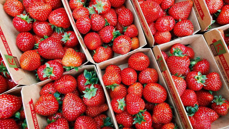"Kostenintensiv": Deutsche Erdbeeren sind in diesem Jahr vor allem was für Liebhaber. 