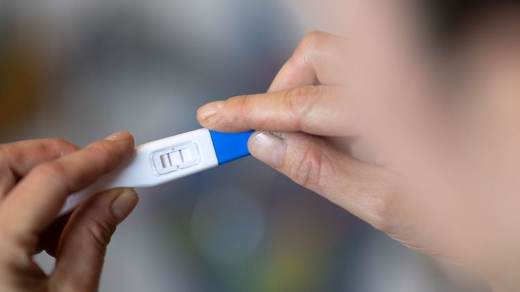 Ob schon einem Embryo die Menschenwürde zugesprochen wird, ist eine juristisch hochkomplexe Frage.