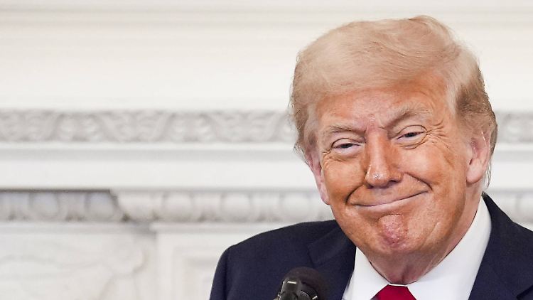 Erst Finanzierung infrage stellen, dann vom Kongress absegnen lassen: Donald Trump setzt seine Politik im Kongress durch.
