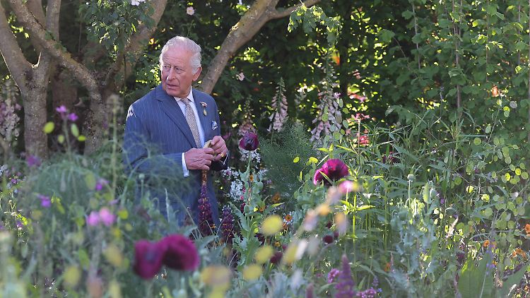 In seinem Element: König Charles im Grünen.