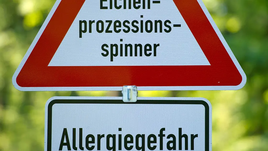 In-manchen-Waeldern-weisen-Schilder-auf-den-sich-jaehrlich-wiederholenden-Befall-mit-Eichenprozessionsspinnern-hin