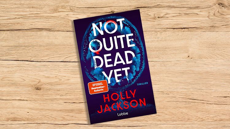 Das ist der neue Thriller von Spiegel-Bestseller-Autorin Holly Jackson.