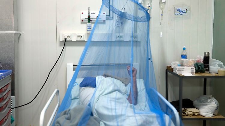 Ein Chikungunya-Patient wird in Paraguay in einem Krankenhaus behandelt.