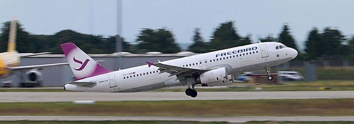 537115256.jpg