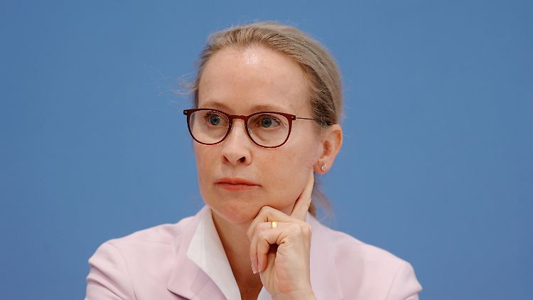 Die Mehrheit der Bevölkerung ist dagegen, dass Frauke Brosius-Gersdorf ihre Kandidatur für das Bundesverfassungsgericht aufgibt.
