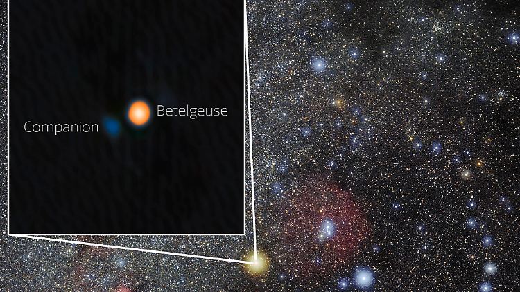 Astronomen haben wahrscheinlich einen Begleitstern (blau) von Beteigeuze (engl: Betelgeuse) entdeckt.