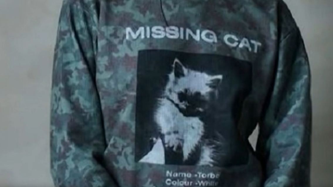 vermisstekatze.jpg