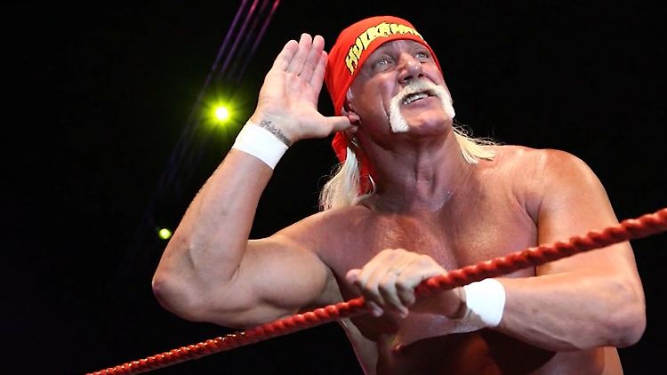 Hulk Hogan3.jpg
