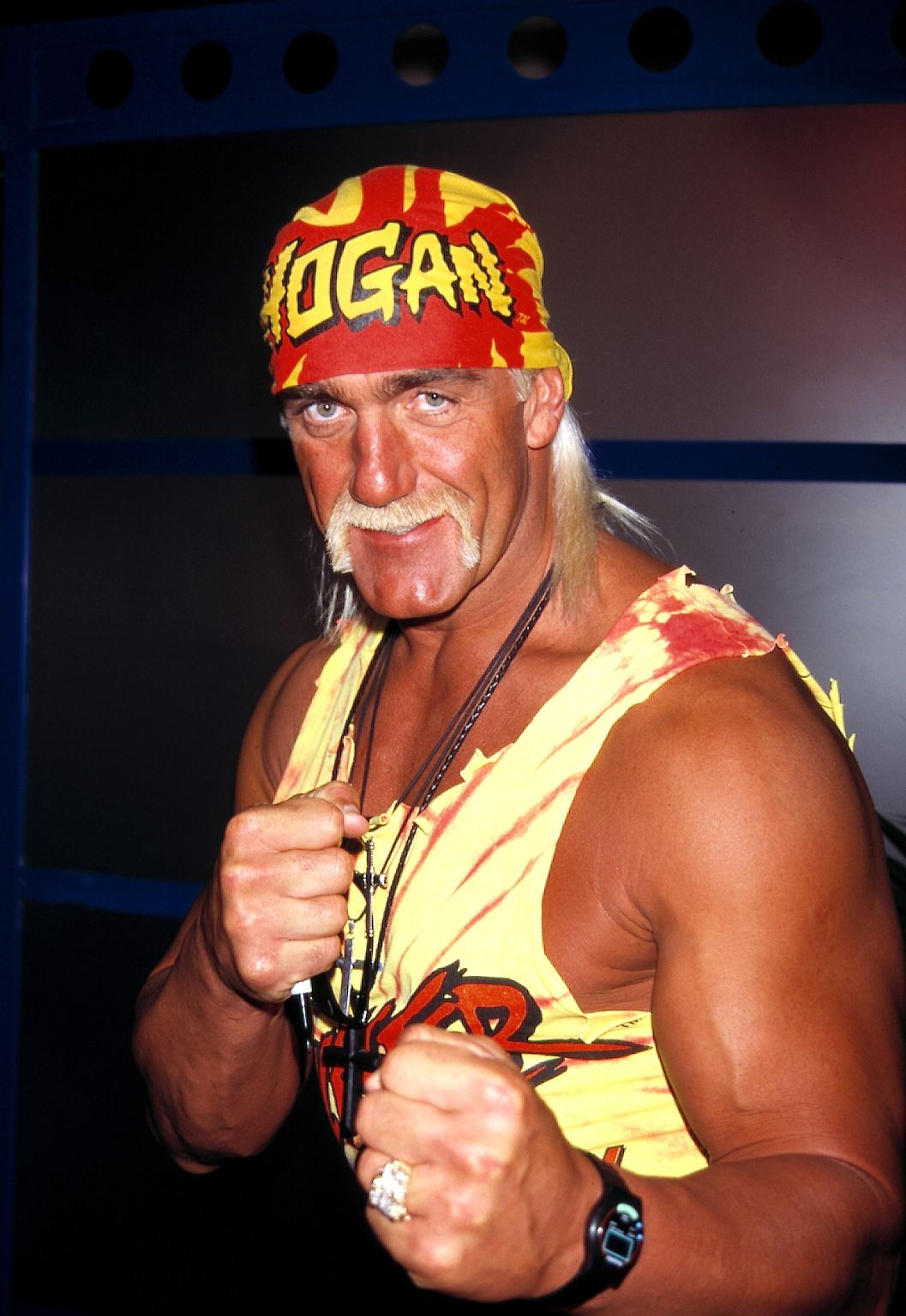 Hogan wurde in den 1980er Jahren bekannt. 