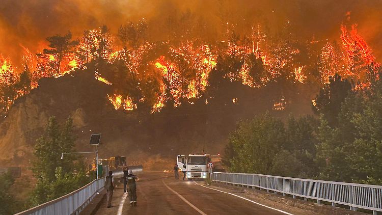 Flammen fressen sich durch ein Waldgebiet nahe dem Dorf Cavuslar im Nordwesten der Türkei.