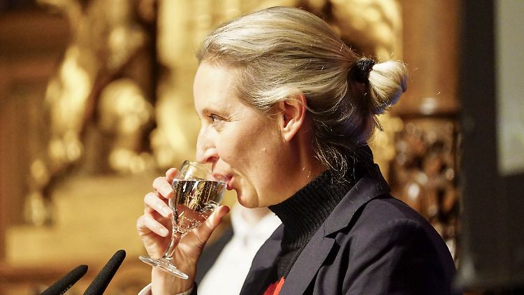 Arme Deutsche! Das Konzept der "Persona", also einer literarischen Rolle, akzeptierten sie nur dann, wenn ein Witz mit "... gehen in eine Bar" beginnt oder ein ordentliches Etikett drauf klebt, meint unser Kolumnist.