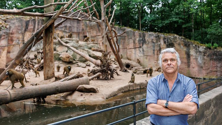 Zur geplanten Tötungsmethode will sich der Tiergarten-Leiter Dag Encke nicht äußern.