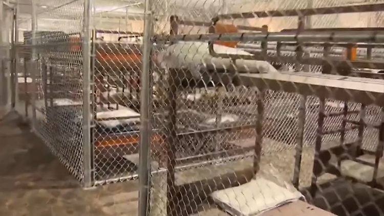 Alligator Alcatraz.jpg