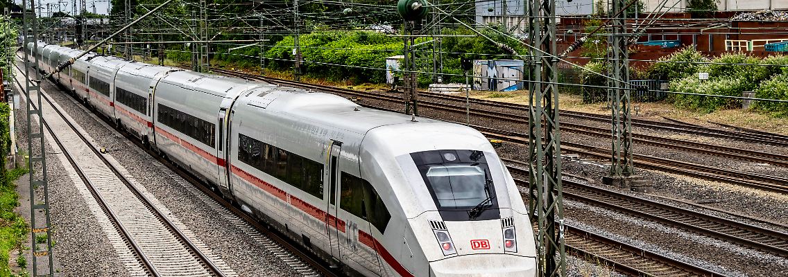 529454081.jpg