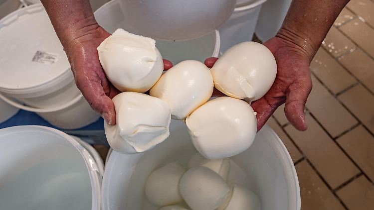 Ein traditioneller italienischer Käse: der Mozzarella. (Archivbild)