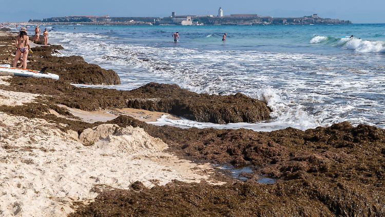 Was am Strand zu sehen ist, ist nur ein Bruchteil dessen, was sich noch unter Wasser verbirgt.