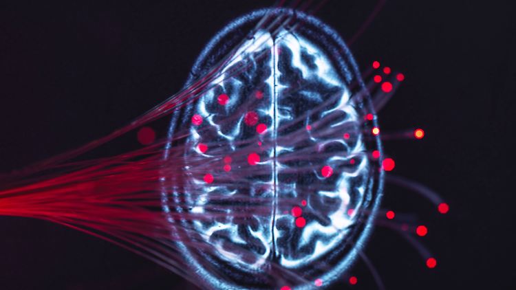 Mit bildgebenden Verfahren lassen sich bei CTE andere neurodegenerative Erkrankungen oftmals ausschließen. 