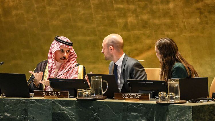 Saudi-Arabien und Frankreich hatten den Vorsitz der UN-Konferenz. 