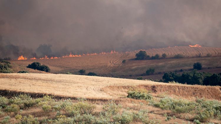 Die Trockenheit begünstigt Wald- und Buschbrände. 