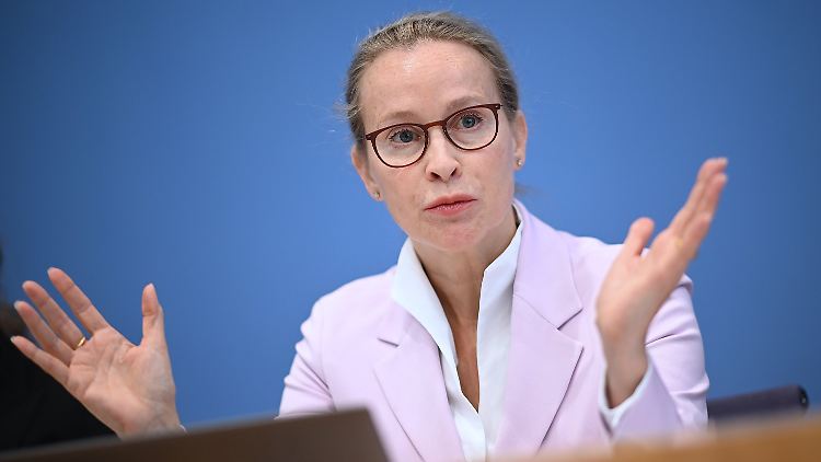 Die SPD im Bund hält an ihrer Kandidatin Frauke Brosius-Gersdorf fest.