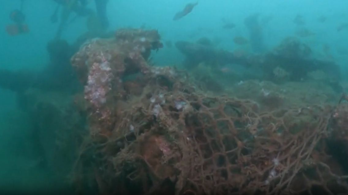 Wrack.jpg