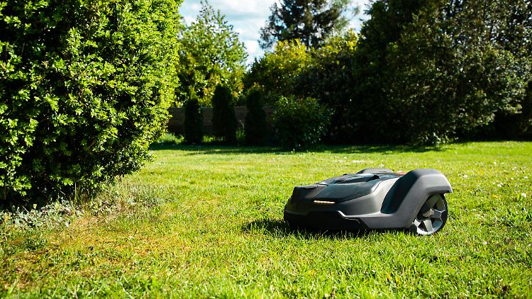 Moderne Mähroboter mulchen automatisch und ermöglichen so gleichmäßiges Wachstum und dichten Rasen.