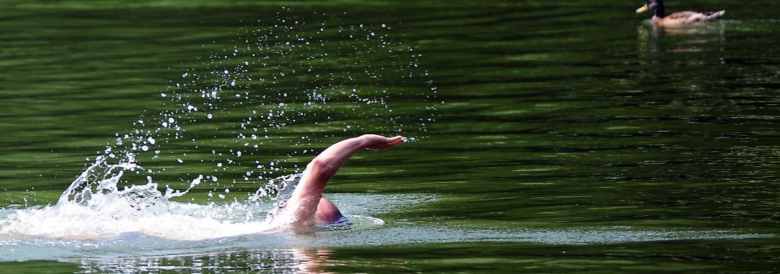Wer im See schwimmt, ist nie allein - im Gewässer sind auch viele Fische unterwegs.