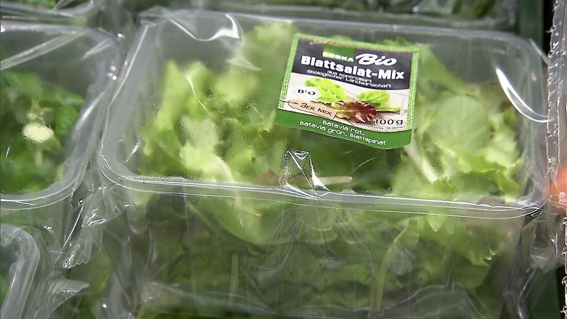 Salat Plastik.jpg