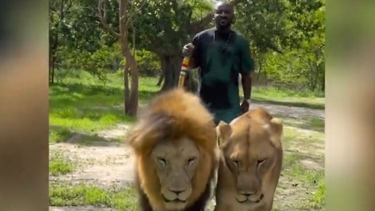 Löwen Fußballer.jpg