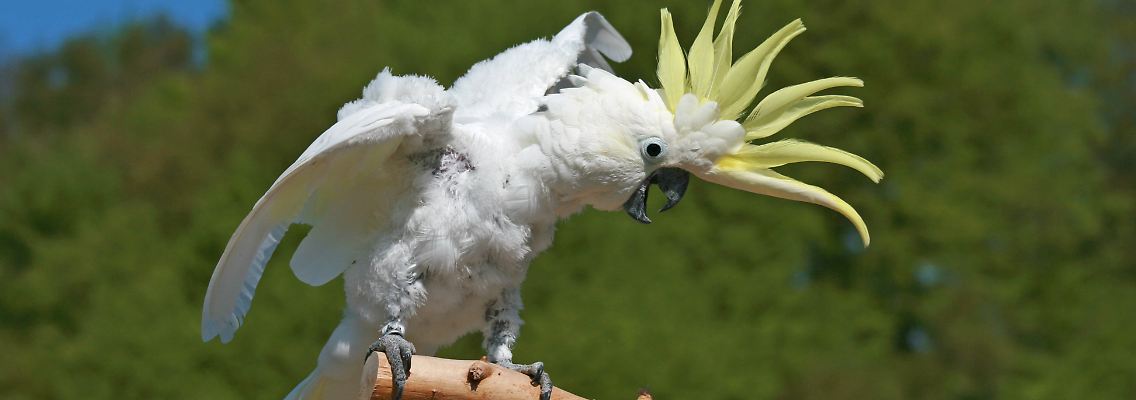 imago778291518.jpg