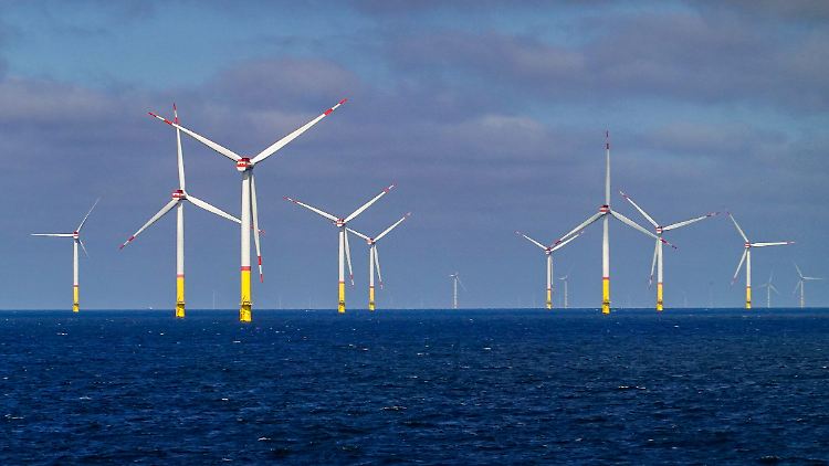 Die Branche warnt seit Jahren, Unternehmen bei Windkraftanlagen auf See zu viele Risiken aufzubürden.