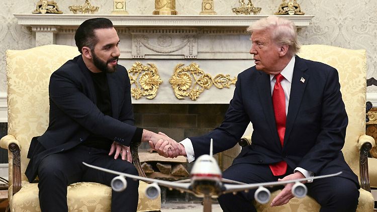 Mit dem Präsidenten El Salvadors, Bukele, verstand sich Trump bei dessen Besuch im Oval Office gut. 