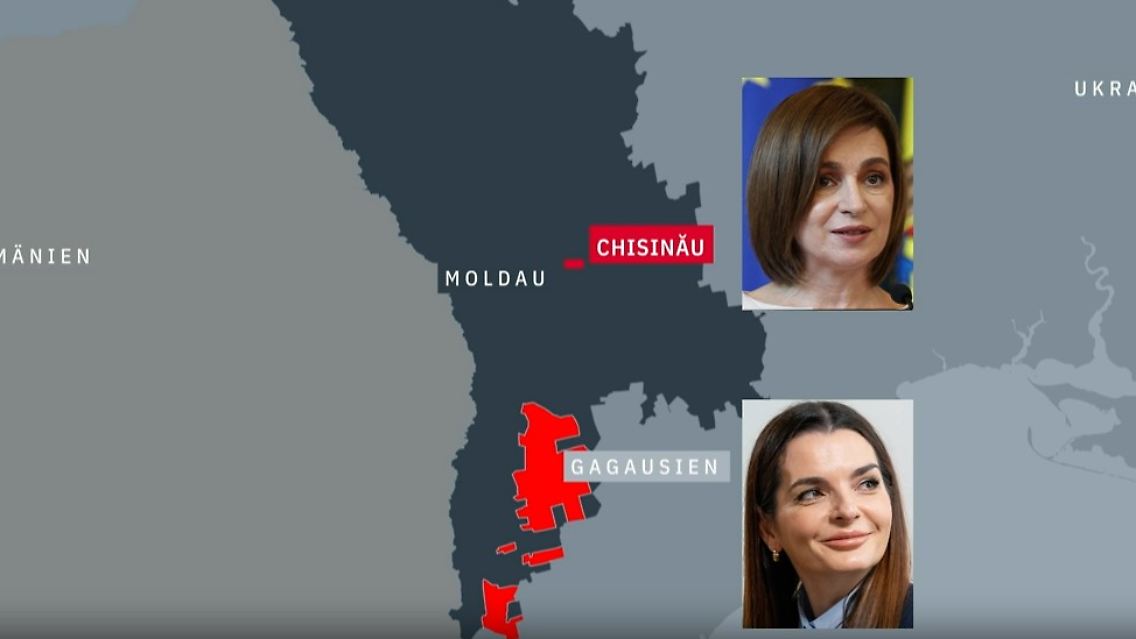 mol.jpg