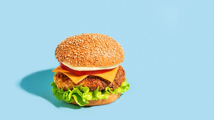 Hätte man sich im Jahr 2018 vorausdenkend 40.000 Cheeseburger eingefroren, wären aus 40.000 Euro bis heute 107.600 Euro geworden. 