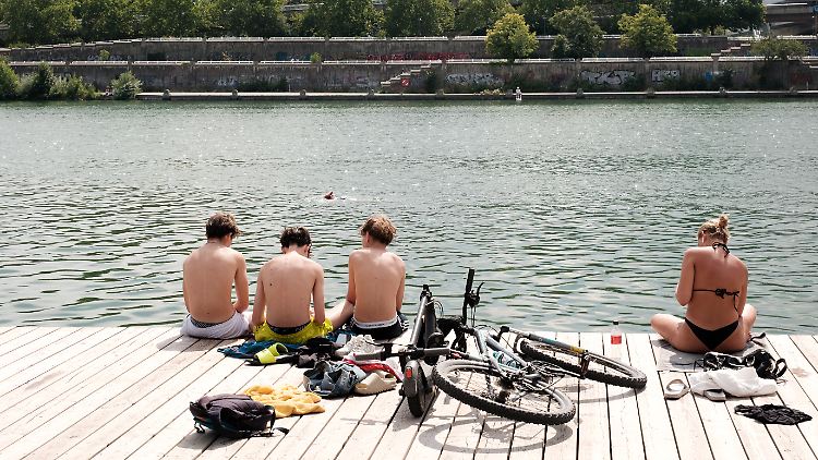 Sonnenanbeter an der Donau. 