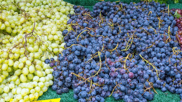 Die empfohlene Menge von Trauben liegt wegen des hohen Zuckergehalts bei täglich 40 bis 250 Gramm.