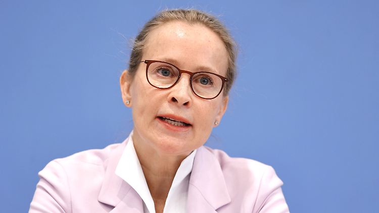 Brosius-Gersdorf dankt der SPD, den Linken und Grünen für "großen Zuspruch und Rückendeckung".