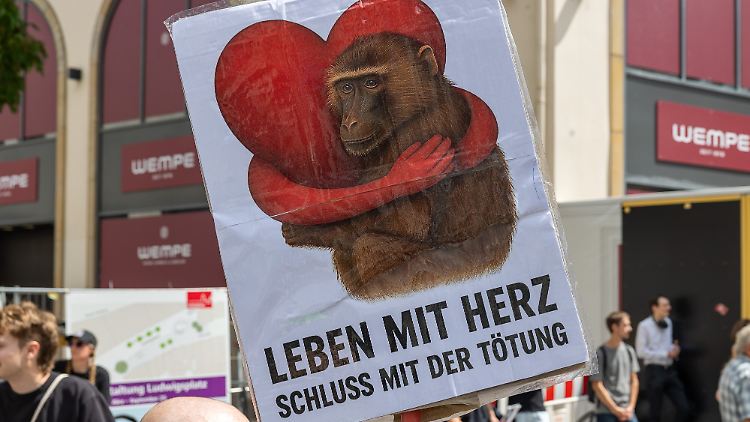 Teilnehmer einer Demonstration in Nürnberg protestieren gegen die Tötung mehrerer Paviane im Tiergarten der Stadt.  