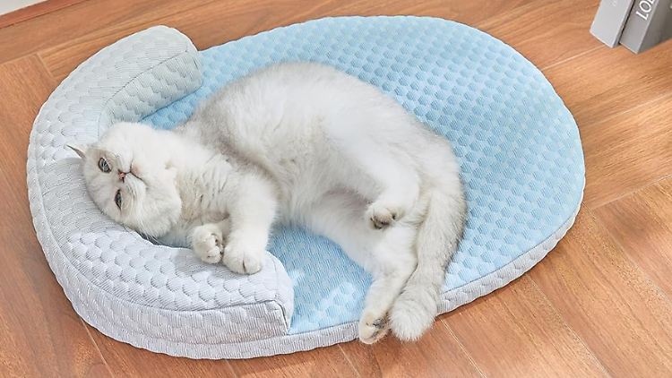 Selbstkühlende Matten und kühlende Katzenbetten bieten eine einfache Lösung gegen Sommerhitze.