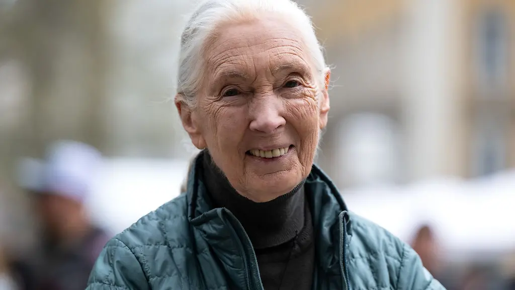 Die-britische-Verhaltensforscherin-Jane-Goodall-steht-nach-einer-Pressekonferenz-im-Presseclub-auf-dem-Marienplatz