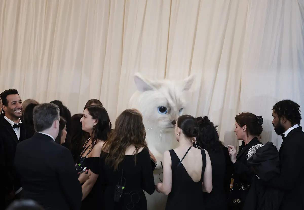 fc86d14b8df3af6d281f1f2011a29837