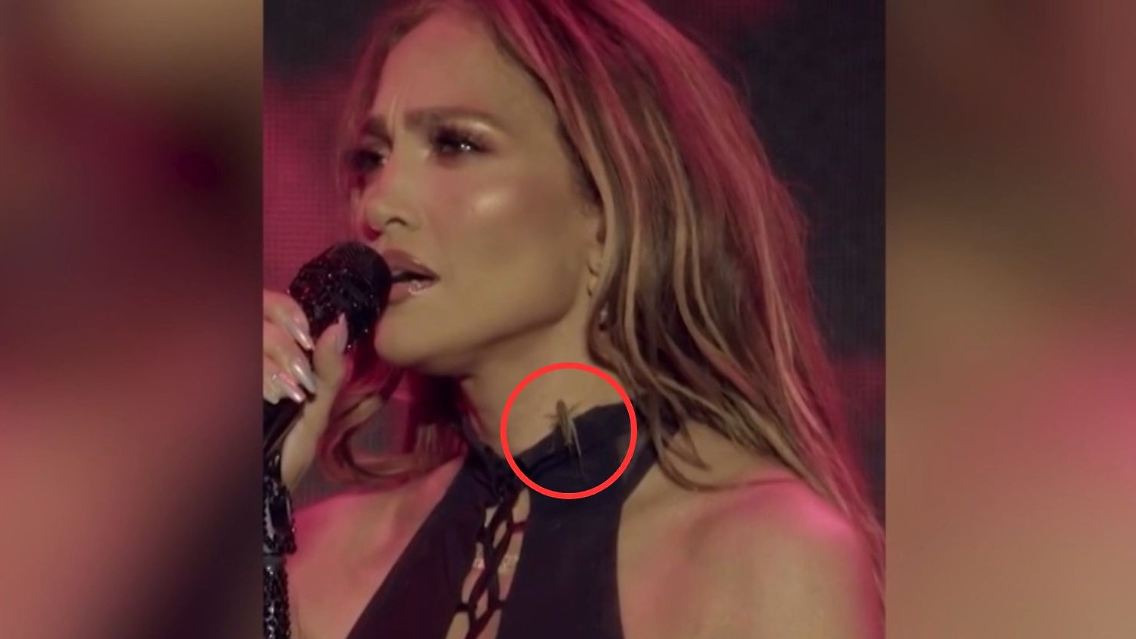 Jennifer Lopez Heuschrecke3.jpg