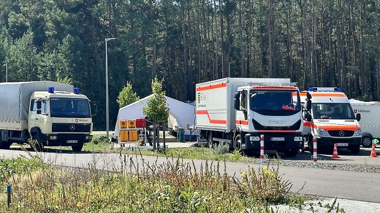 Der Junge hat am vergangenen Wochenende mit seiner Familie auf einem Campingplatz am Silbersee bei Lohsa Urlaub gemacht.