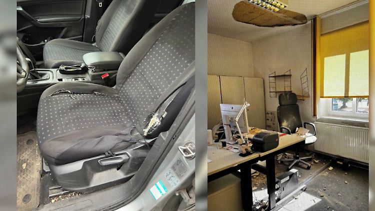 KoelnNews_324794272_350 (1).jpg