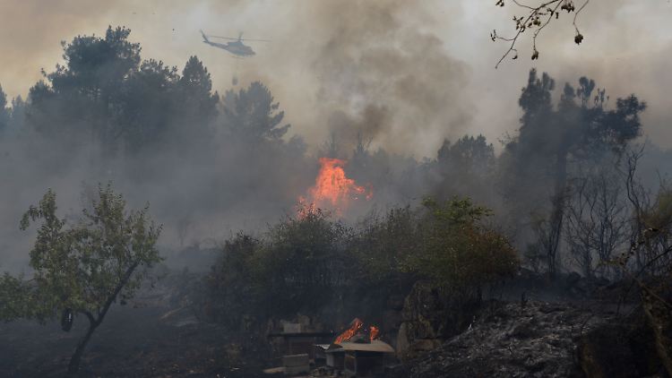 In gleich mehreren Regionen des Landes gibt es Waldbrände.
